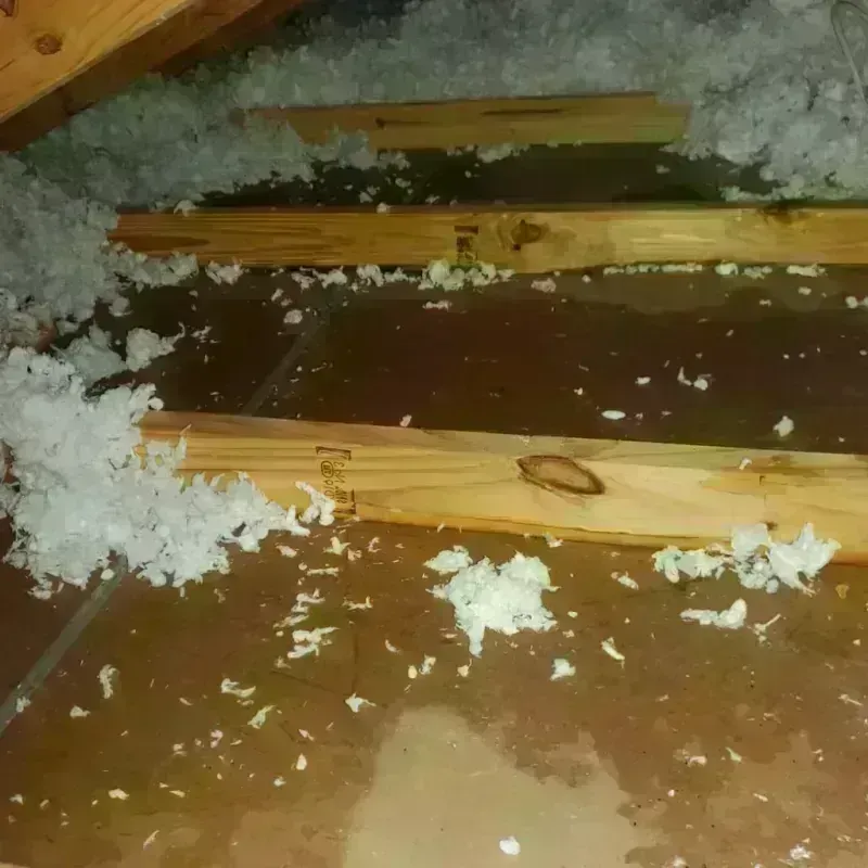 Attic Water Damage in Bristow, OK