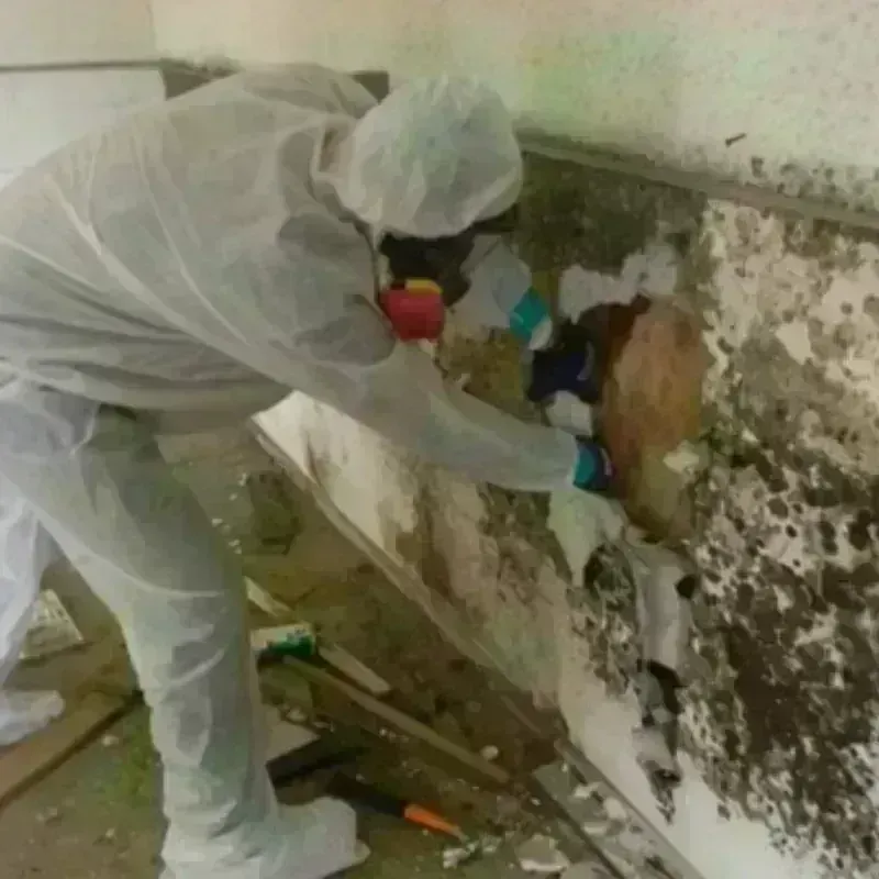 Mold Remediation and Removal in Bristow, OK