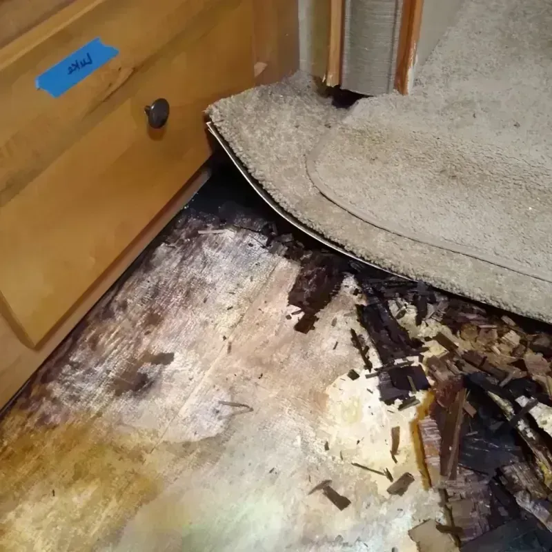 Wood Floor Water Damage in Bristow, OK